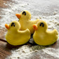Mini rubber duckie dog treats